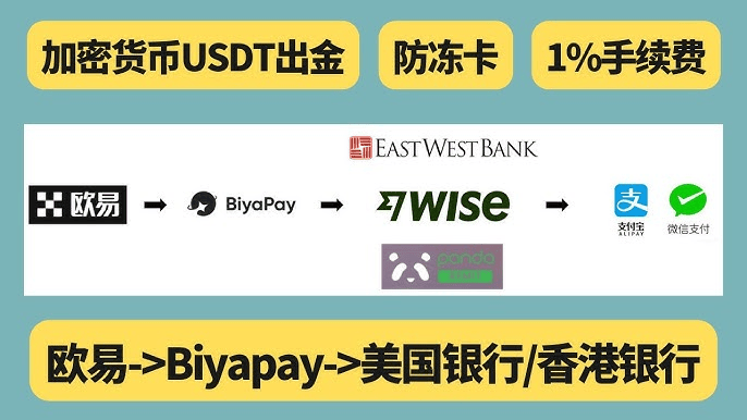 “黑色星期一”来袭：比特币暴跌的原因是什么？降息前景下币圈又将如何发展？